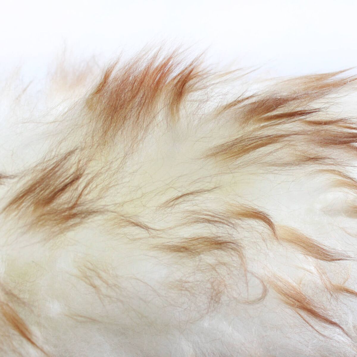 chemicalworkz Lambswool Duster Staubwedel Bild 3